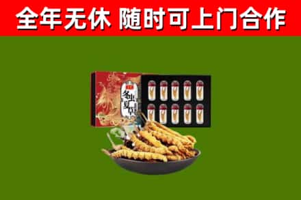 庄浪回收冬虫夏草价格